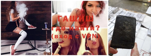 индика Горнозаводск