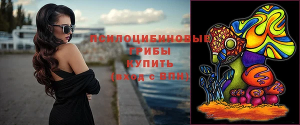 индика Горнозаводск
