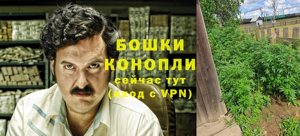 индика Горнозаводск
