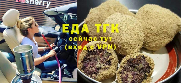 индика Горнозаводск