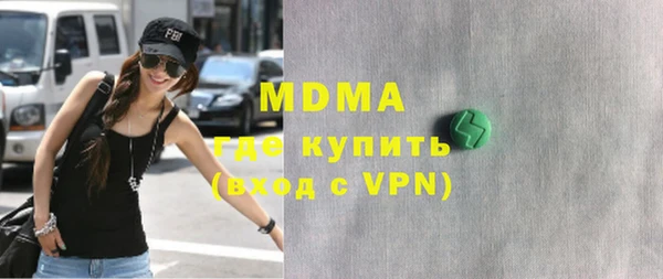 индика Горнозаводск