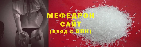 индика Горнозаводск