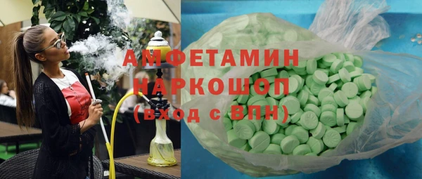 индика Горнозаводск