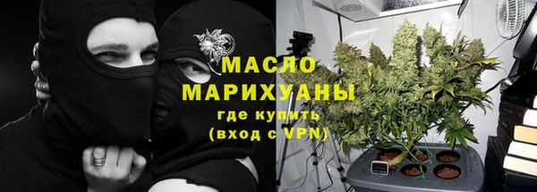 индика Горнозаводск