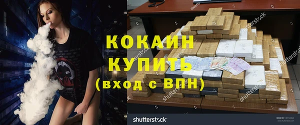 гашик Вязьма